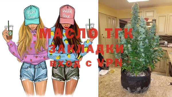 мдпв Волосово