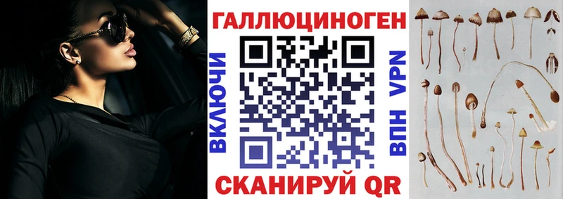 ОМГ ОМГ зеркало  Калтан  Галлюциногенные грибы мицелий 